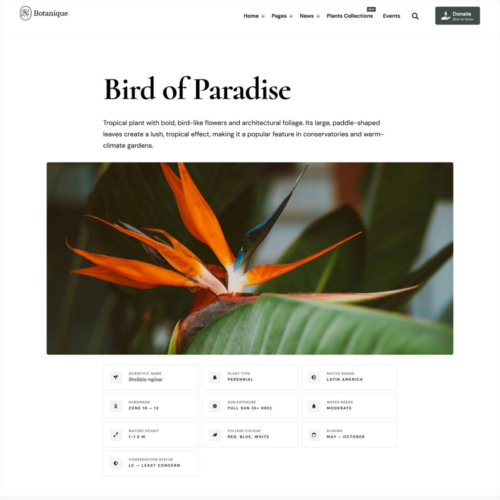 botanique-pages-02